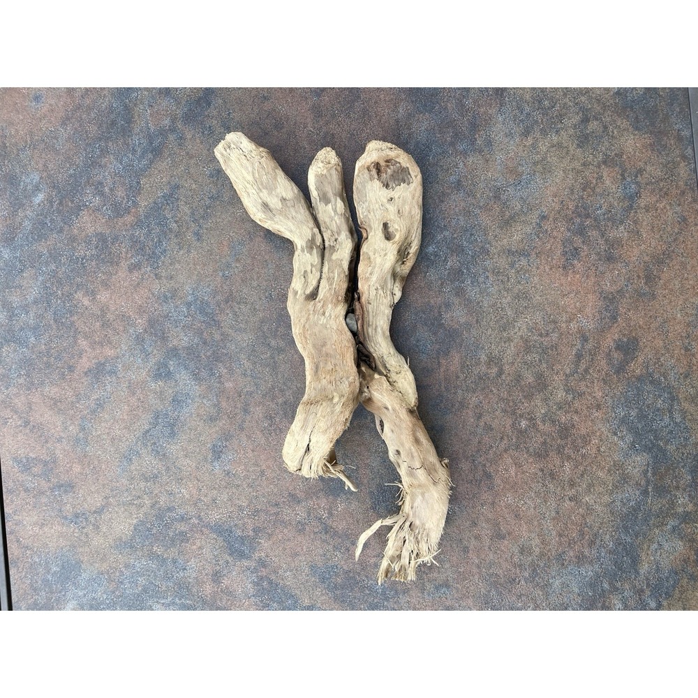 Natural Driftwood for Plants Terrarium Taxidermy Art Projects